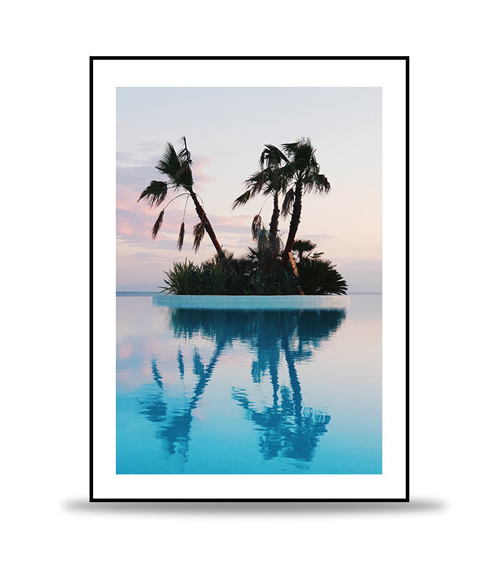 Double palm island