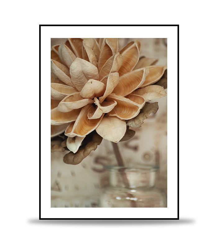 Beige flower