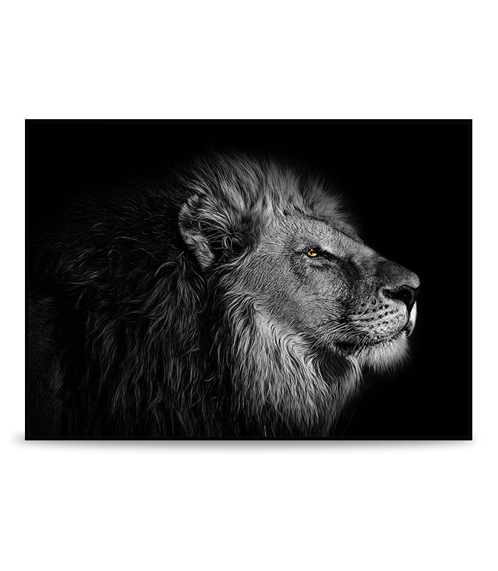 The brave lion