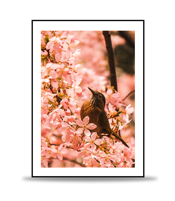 Bird on the pinks