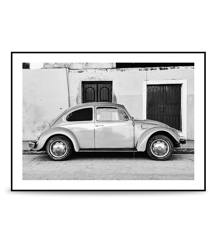 Our favourite beetle