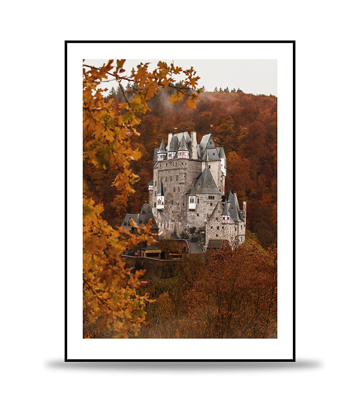 Castle between the trees