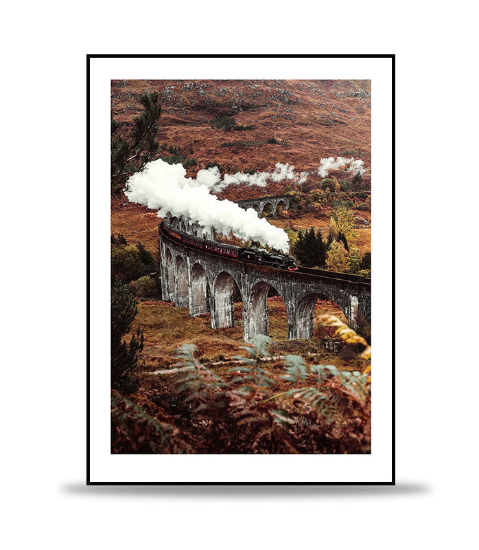 Steamy train on the bridge