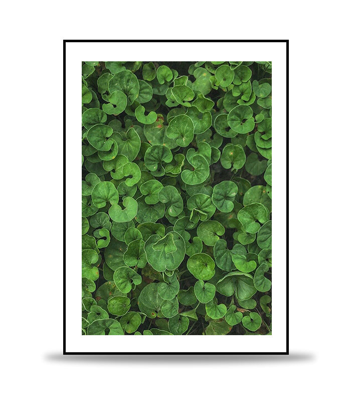 Green garden