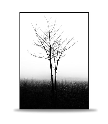 Lonely tree