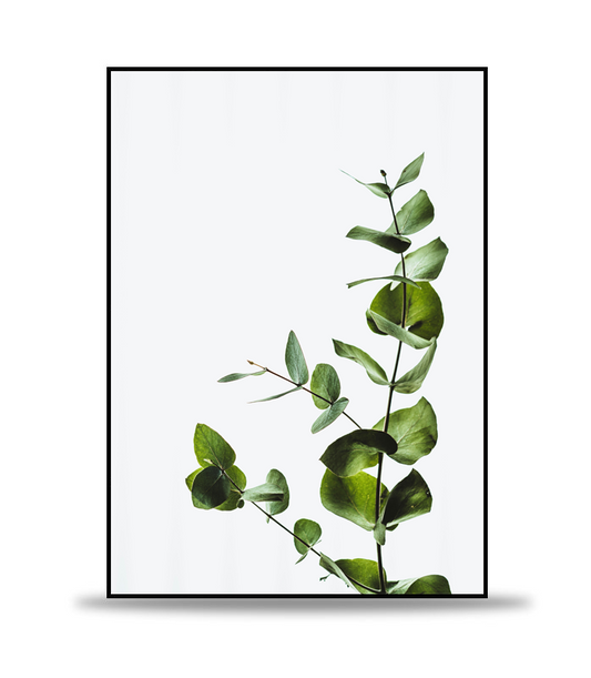 Conseil Botanique no.2 Poster